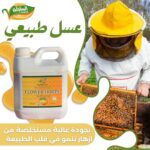 عسل سدر طبيعي