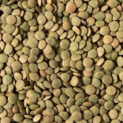 عدس اخضر